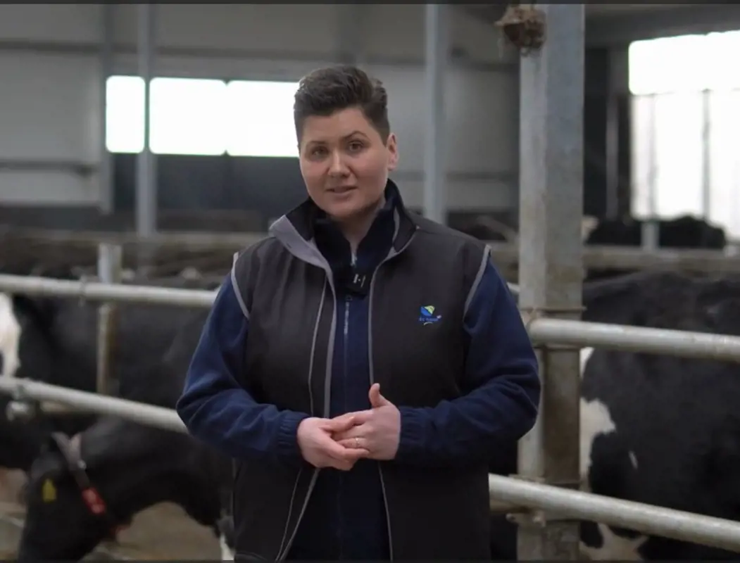 Ewelina Kuczyńska testimonial