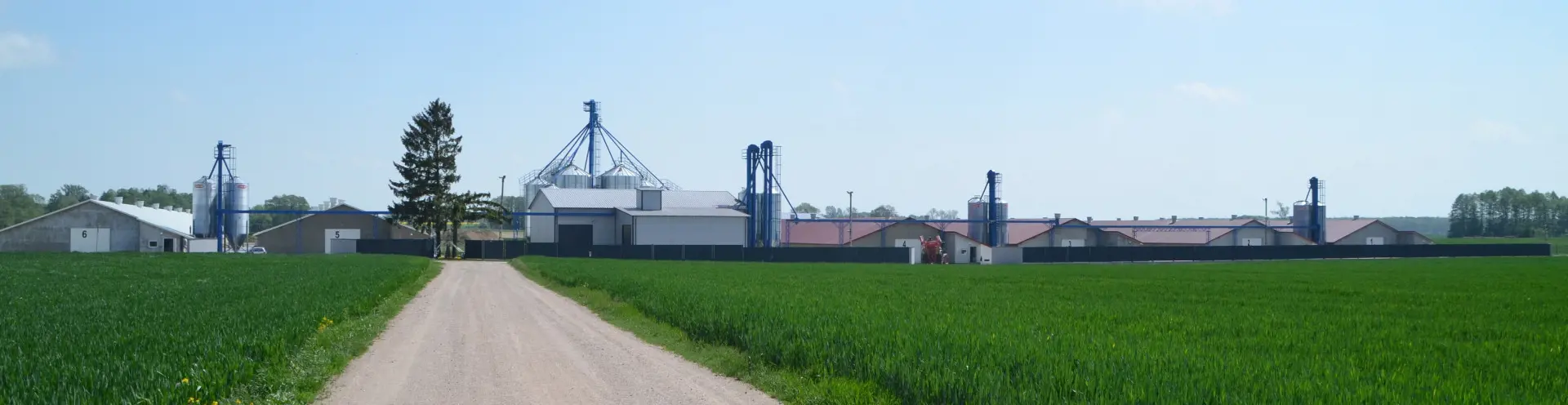 Tomasz Ślesicki testimonial